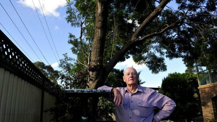Ian McQuire failed in his action against ActewAGL for pruning his tree. Photo: Melissa Adams