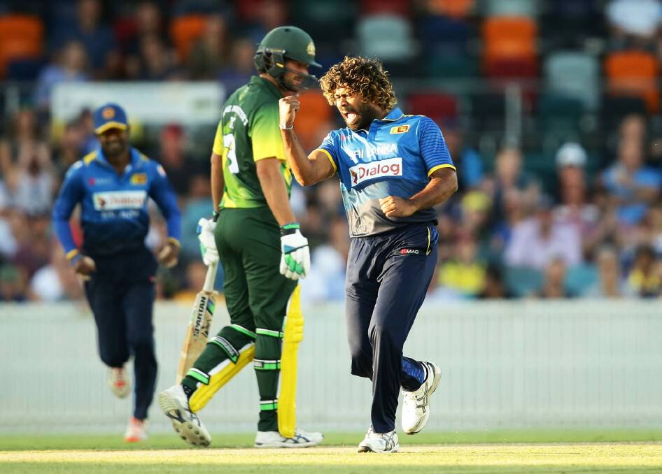 Lasith Malinga of Sri Lanka celebrates taking the wicket of D'Arcy Short at Manuka Oval. Photo: Getty Images