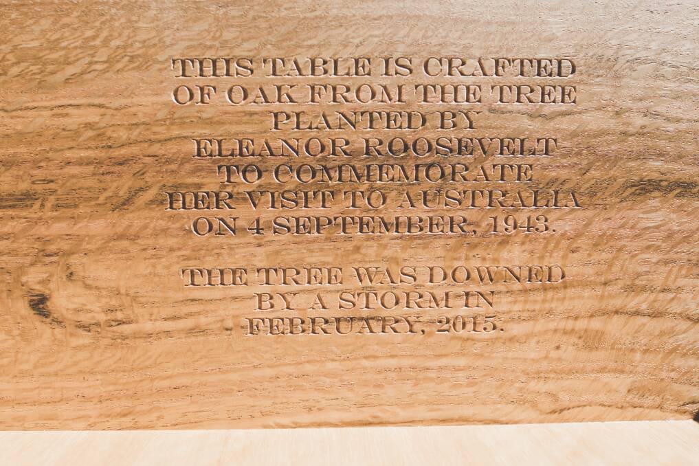 Eleanor Roosevelt planted the oak tree in Canberra as part of a humanitarian visit in 1943 in Australia and the Pacific during WWII. Photo: Jamila Toderas