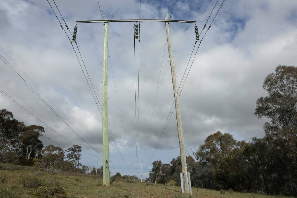 Power lines in Ainslie: ActewAGL's network spending cut means lower power bills. Photo: Jeffrey Chan
