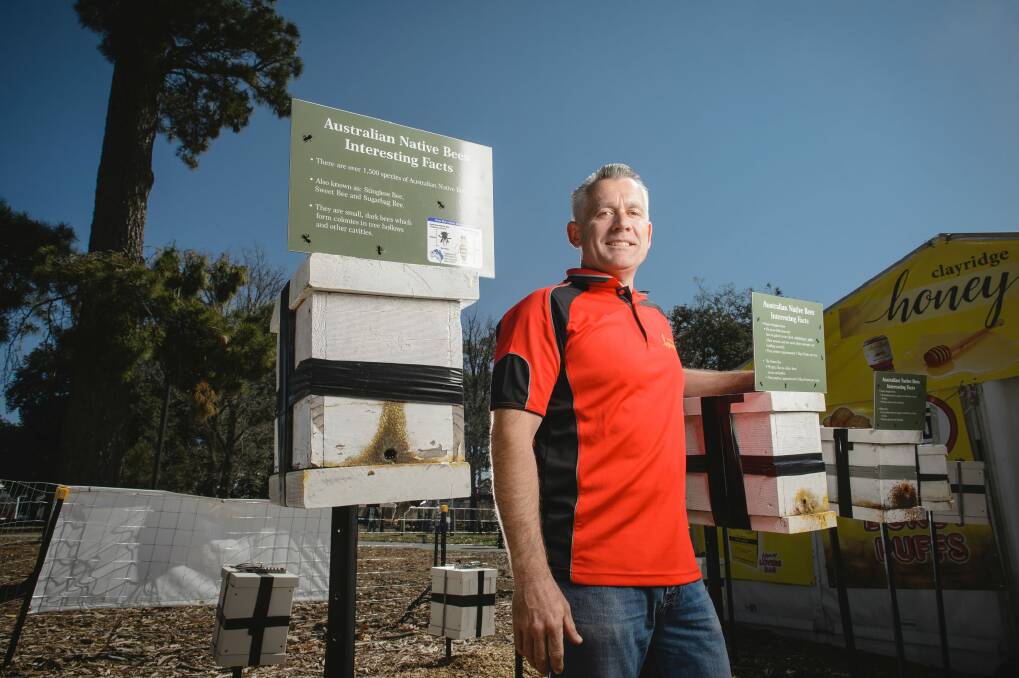 Matthew Hird with his native Stingless Bees at Floriade.  Photo: Sitthixay Ditthavong
