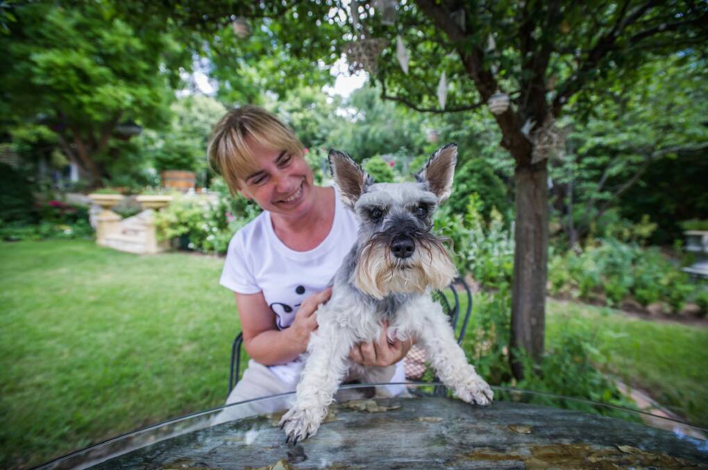 Tracey Duffy of Mawson with her dog Molly. Photo: karleen minney