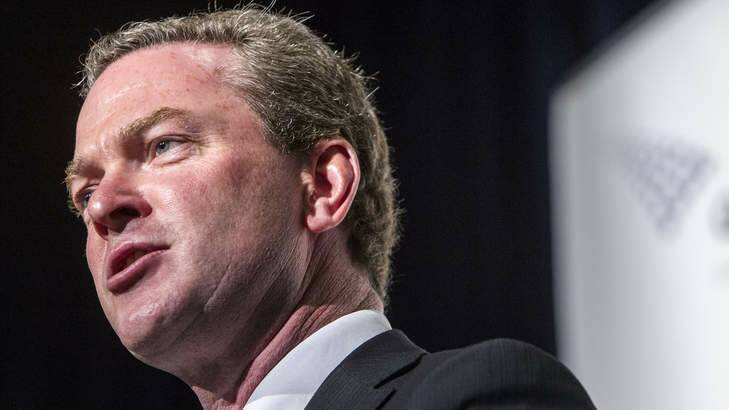 Manager of government business Christopher Pyne. Photo: Glenn Hunt