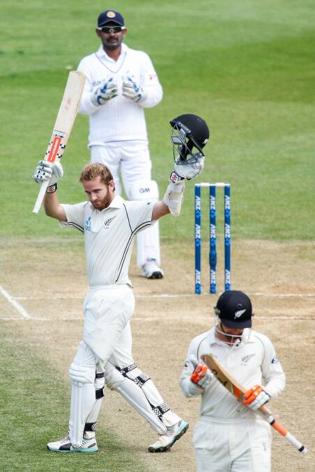 New Zealand batsman Kane Williamson. Photo: Hagen Hopkins