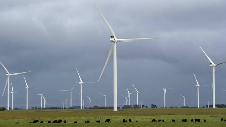 Wind Farm. Photo: Damian White