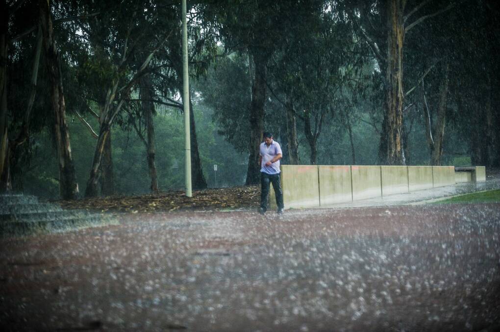 A man braves Canberra's wet weather Wednesday afternoon. Photo: Jamila Toderas