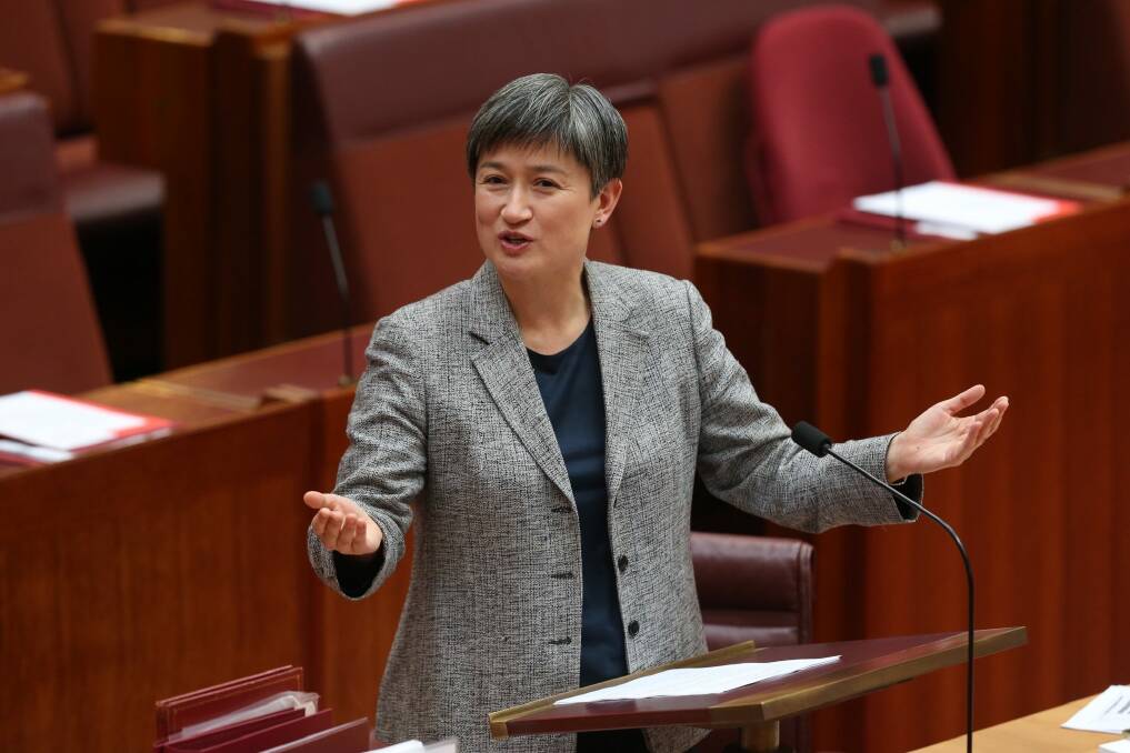 Leader of the Opposition in the Senate Senator Penny Wong in the Senate on Monday. Photo: Andrew Meares