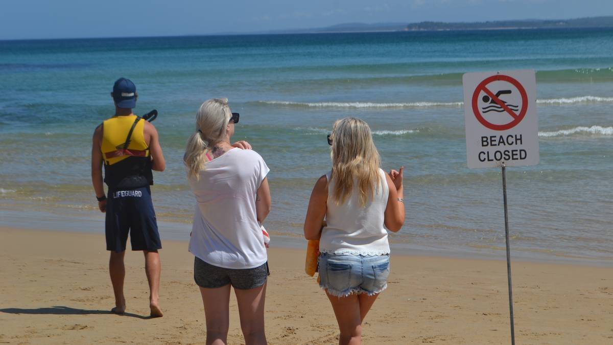 So far, there have been nine rescues at south coast beaches this summer. Photo: Emily Barton