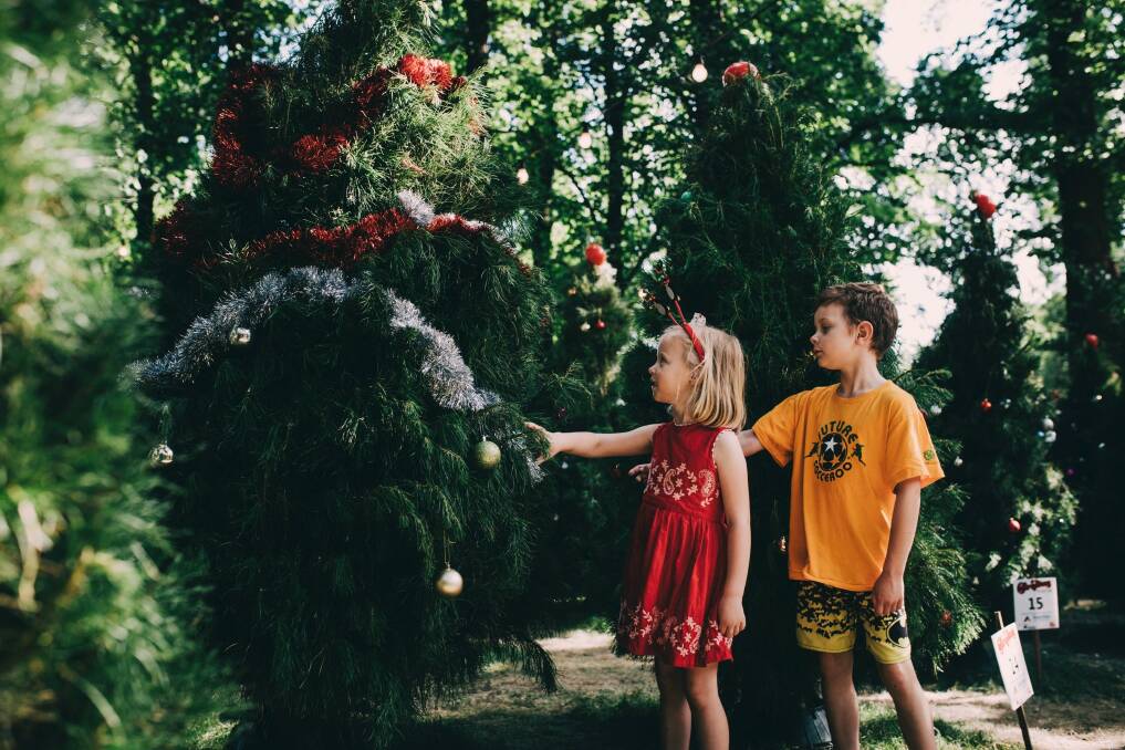 The Christmas in Glebe Park festival is running on Friday, Saturday and Sunday before Christmas. Photo: Jamila Toderas