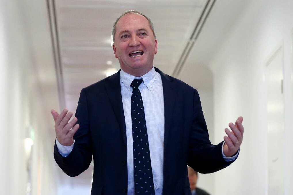 Deputy Prime Minister Barnaby Joyce's decisions as minister could be challenged if he loses his case in the High Court, according to legal advice provided to Labor. Photo: Alex Ellinghausen