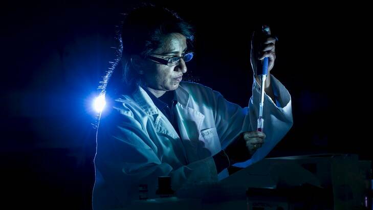 University of Canberra, forensic labs technical officer, Shirani Katupitiya, works in the lab. Photo: Rohan Thomson