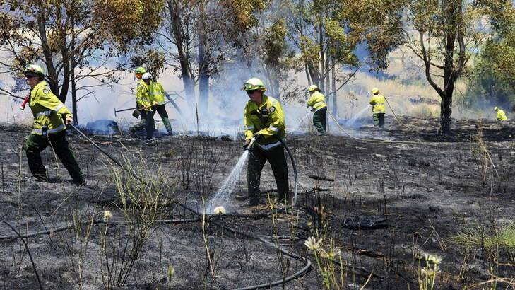 Fire fighters attend to a grass fire off Lady Denman Drive. Photo: Melissa Adams