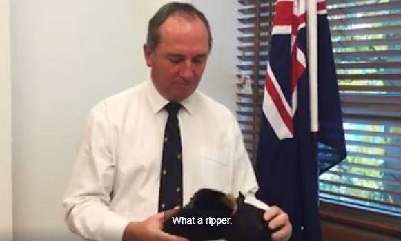 Deputy Prime Minister Barnaby Joyce wants "clean coal" included in the Clean Energy Target  Photo: Facebook/BarnabyJoyceMP