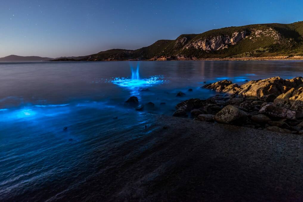 Algal bioluminescence captured on film in Tasmania. Photo: Leanne Marshall