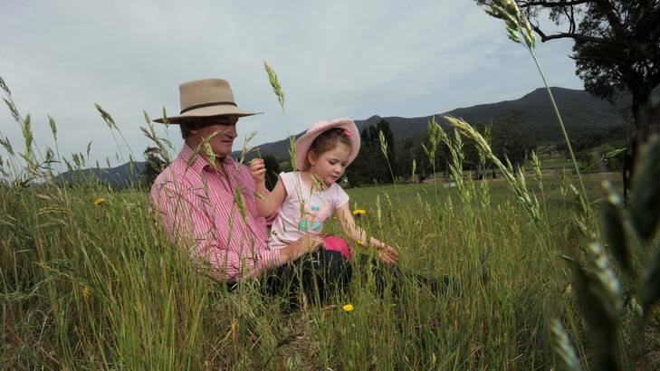Tidbinbilla Station owner Michael Shanahan and his four-year-old daughter Tess among the long grass on the property. Photo: Graham Tidy