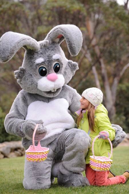 The Easter Bunny at Thredbo, where there are Easter celebrations for the next week. Photo: Supplied