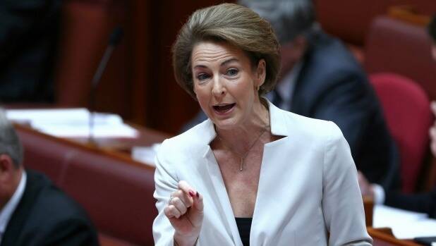 The accusations look set to revive the bitter row between the CPSU, key figures in the APS and Employment Minister Michaelia Cash.