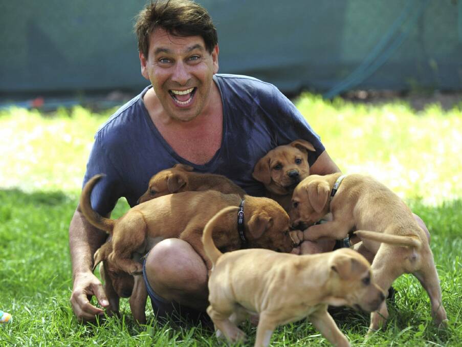 Clothing designer Peter Alexander gets acquainted with puppies at the RSPCA shelter at Weston.  Photo: Graham Tidy