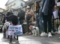 Pet owners and their pets gathered at NSW parliament to protest animal bans on public transport. (Dean Lewins/AAP PHOTOS)