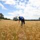Innovation will need to be high on the agenda if Australian agriculture is to remain profitable. (Lukas Coch/AAP PHOTOS)