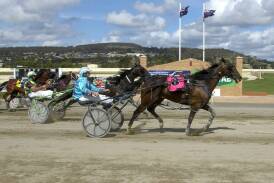 Goulburn Paceway will hold the Carnival of Cups. Picture supplied. 