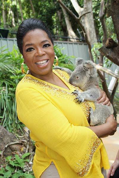 Going native ... Oprah cuddles Elvis the koala at Qualia resort on Hamilton Island.