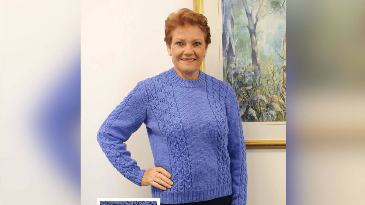 One of the knitted sweaters Senator Pauline Hanson hopes will fund her legal battles. Picture One Nation