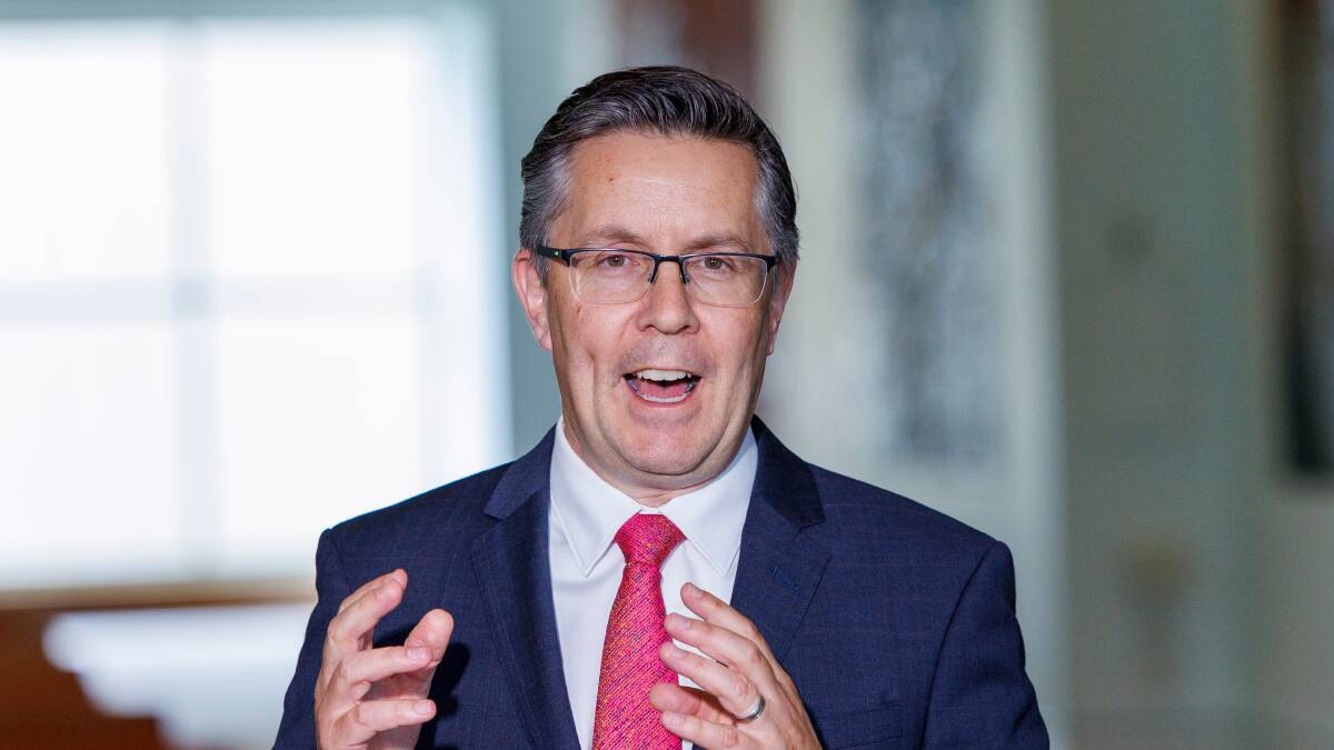 Minister of Health and Aged Care Mark Butler in Parliament House's Mural Hall. Picture by Keegan Carroll