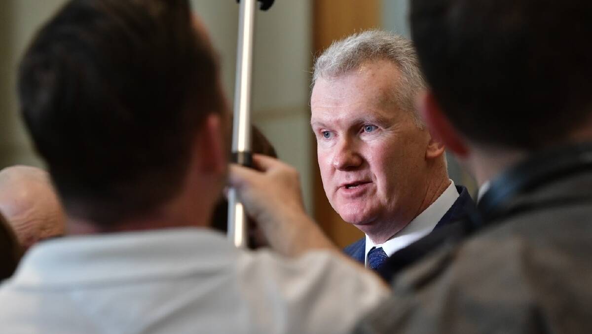 Employment and Workplace Relations Minister Tony Burke. Picture by Elesa Kurtz