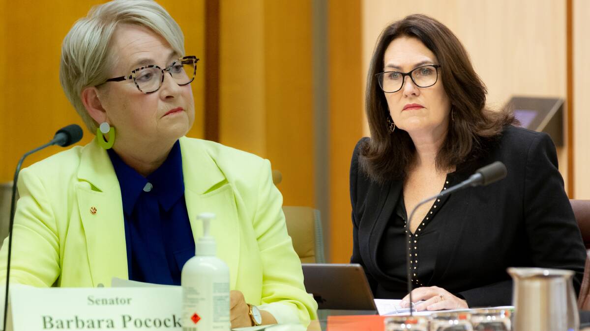 Greens senator Barbara Pocock, left, and Labor senator Deborah O'Neill, right. Pictures by Elesa Kurtz, Sitthixay Ditthavong