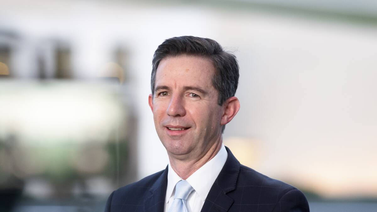 Finance Minister Simon Birmingham has knocked back a new workplace clause explicitly addressing sexual harassment and gendered violence for Parliament House staff. Picture: Sitthixay Ditthavong