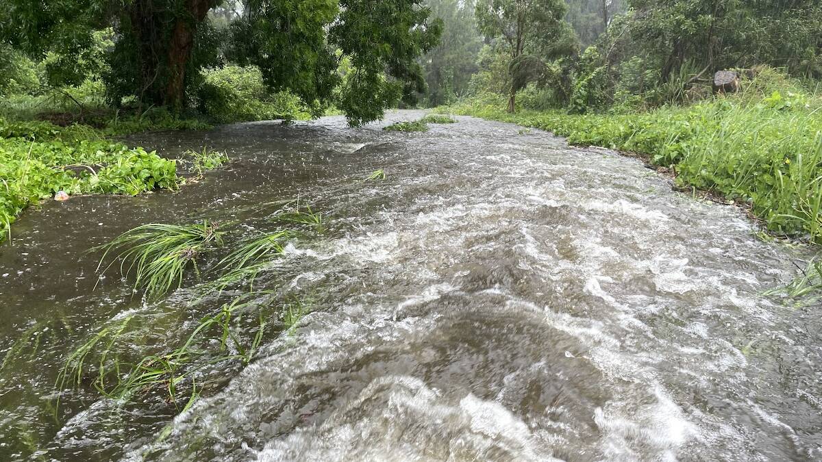 A storm drain outflow on Nelson St, Bega on Wednesday morning, November 29. Picture by Ben Smyth 