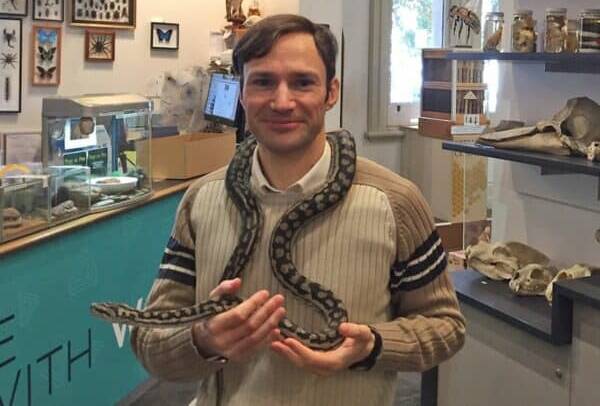 Flinders University researcher Alessandro Palci with a non-venomous snake at the SA Museum Discovery Centre. Image credit: Flinders University