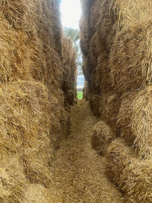 SHREDDED: Lockhart farmer Trent Gooden says mice have been chewing through his hay bales to the point that the stacks may topple. Picture: SUPPLIED