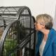 Environment Minister Tanya Plibersek with a greater glider at the ANU in Canberra. Picture: AAP Image