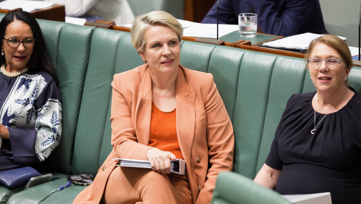 Environment minister Tanya Plibersek. Picture by Sitthixay Ditthavong
