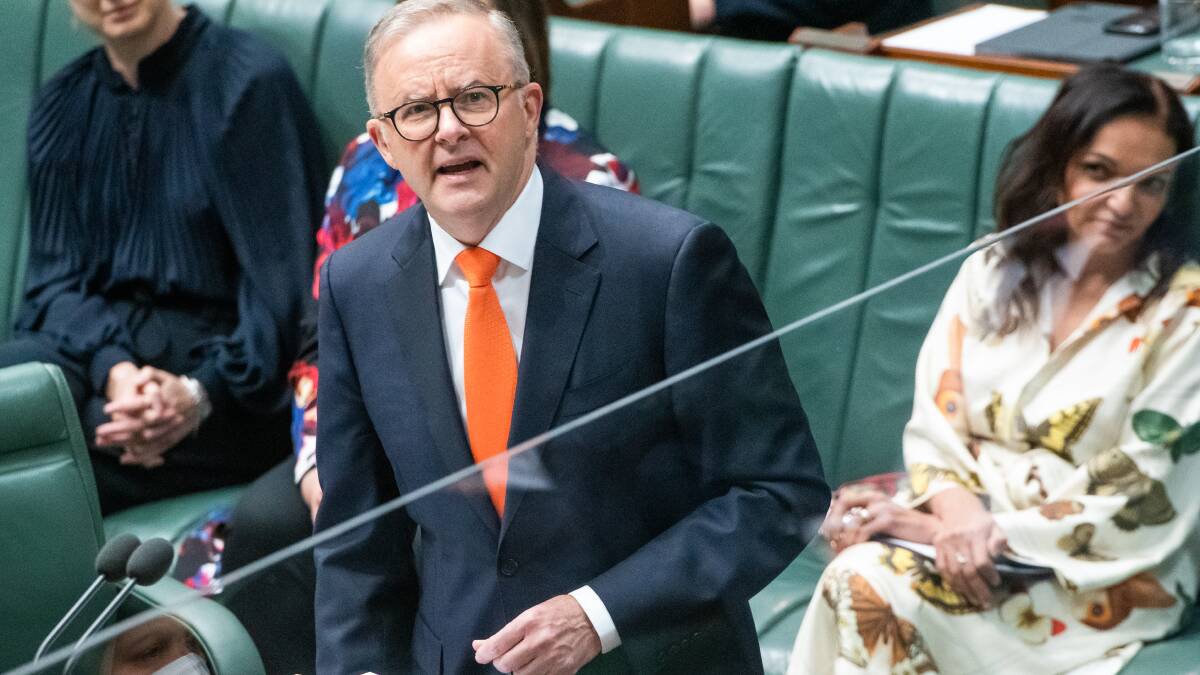 Prime Minister Anthony Albanese. Picture by Elesa Kurtz