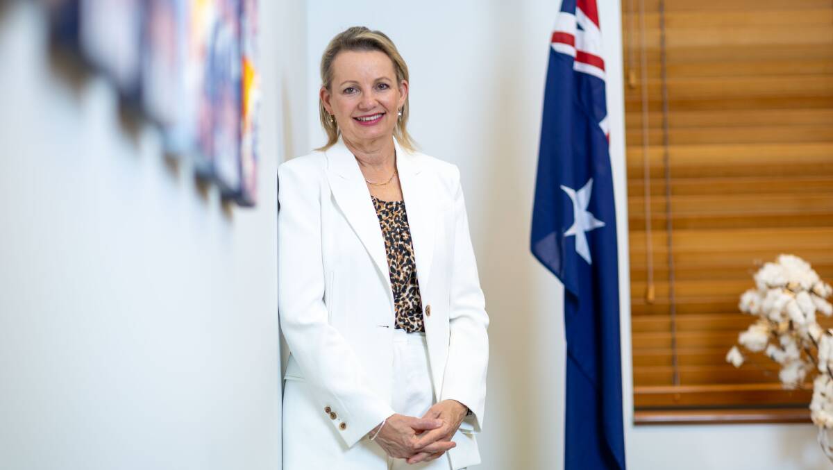 Deputy Leader of the Opposition party Sussan Ley in Parliament House.
Picture by Gary Ramage