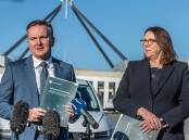 Climate Change and Energy Minister Chris Bowen and Transport Minister Catherine King. Picture by Karleen Minney
