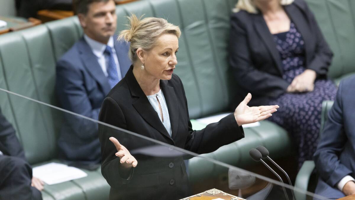 Deputy Oppositon Leader Sussan Ley. Picture by Keegan Carroll