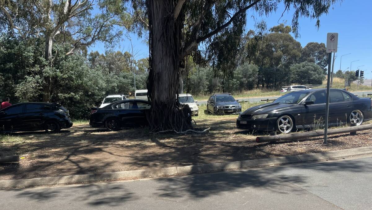 The area where some of the festivalgoers allegedly removed pine logs to access parking spaces near the Federal Highway in Watson. Picture supplied