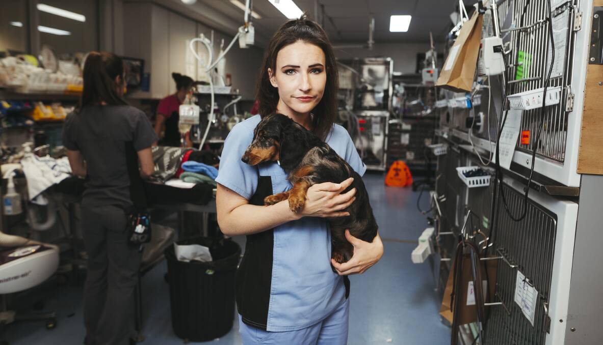 Emergency veterinarian Dr Candice Evans at the Animal Referral Hospital. Picture: Dion Georgopoulos