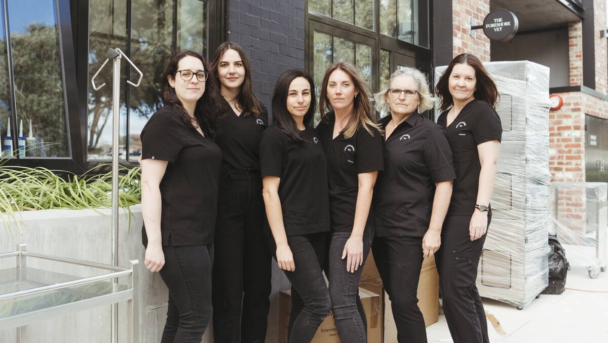 The Foreshore Vet team - nurse Hannah Corr, nurse Bronnie McGill, owner Dr Tanya Caltabiano, nurse Jessie Brown, Dr Amanda Nott and nurse Jenneane Bevan at their new clinic in Kingston, which will open on April 27. Picture: Dion Georgopoulos