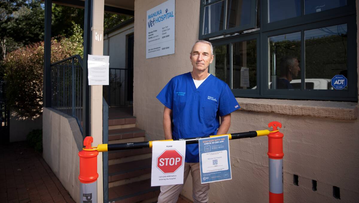 Dr Michael Archinal at the Manuka Vet Hospital says COVID restrictions meant international recruitment of vets had been signficiantly impacted. Picture: Sitthixay Ditthavong