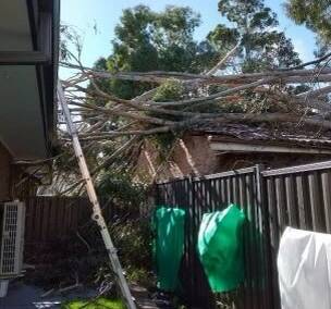 ACTESA are urging residents to take safety measures as Canberra experiences windy conditions this weekend. Picture: ACT ESA