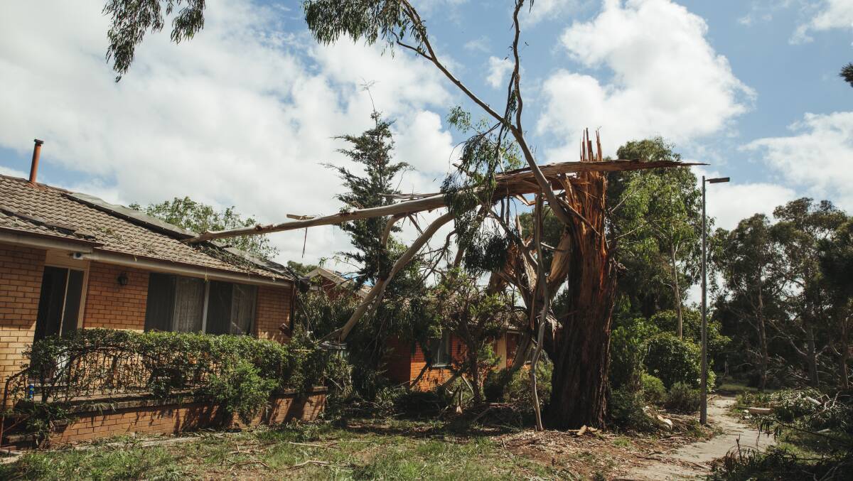 Storm damage in Holt after a severe thunderstorm swept through Belconnen on Monday night. Picture: Dion Georgopoulos