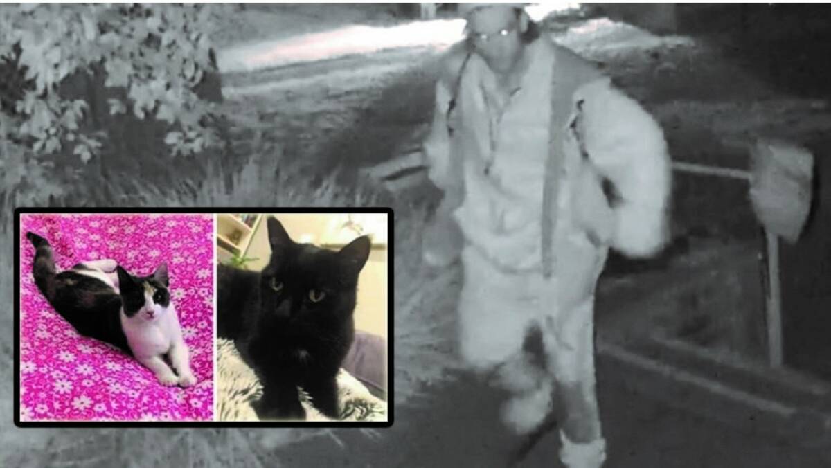 Adam Leslie Munday, 40, was caught on CCTV footage breaking into the Weston RSPCA shelter. Picture: Supplied. Inset: Escaped cats Beau and Luna. Picture: Supplied