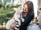Tamara Searant, general manager of social change at Guide Dogs NSW/ACT, with puppy Hugo. Picture by Karleen Minney