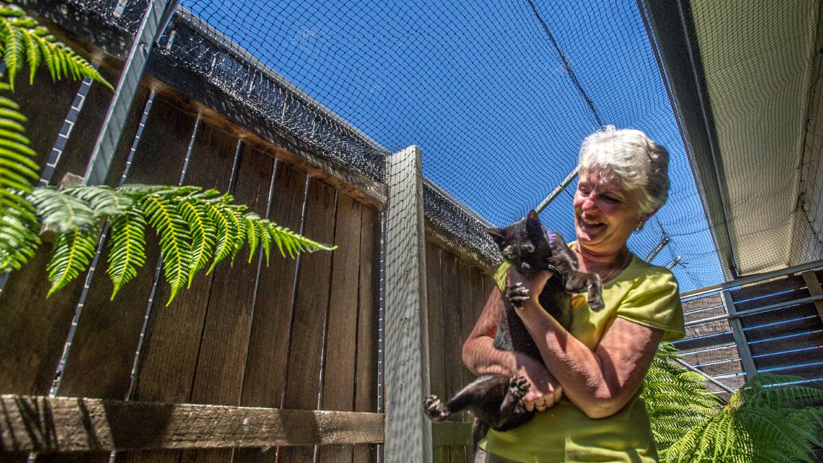Margaret Barker, who owns two cats in one of Canberra's cat containment suburbs in Forde, has overhead nets to keep them in. Picture by Karleen Minney