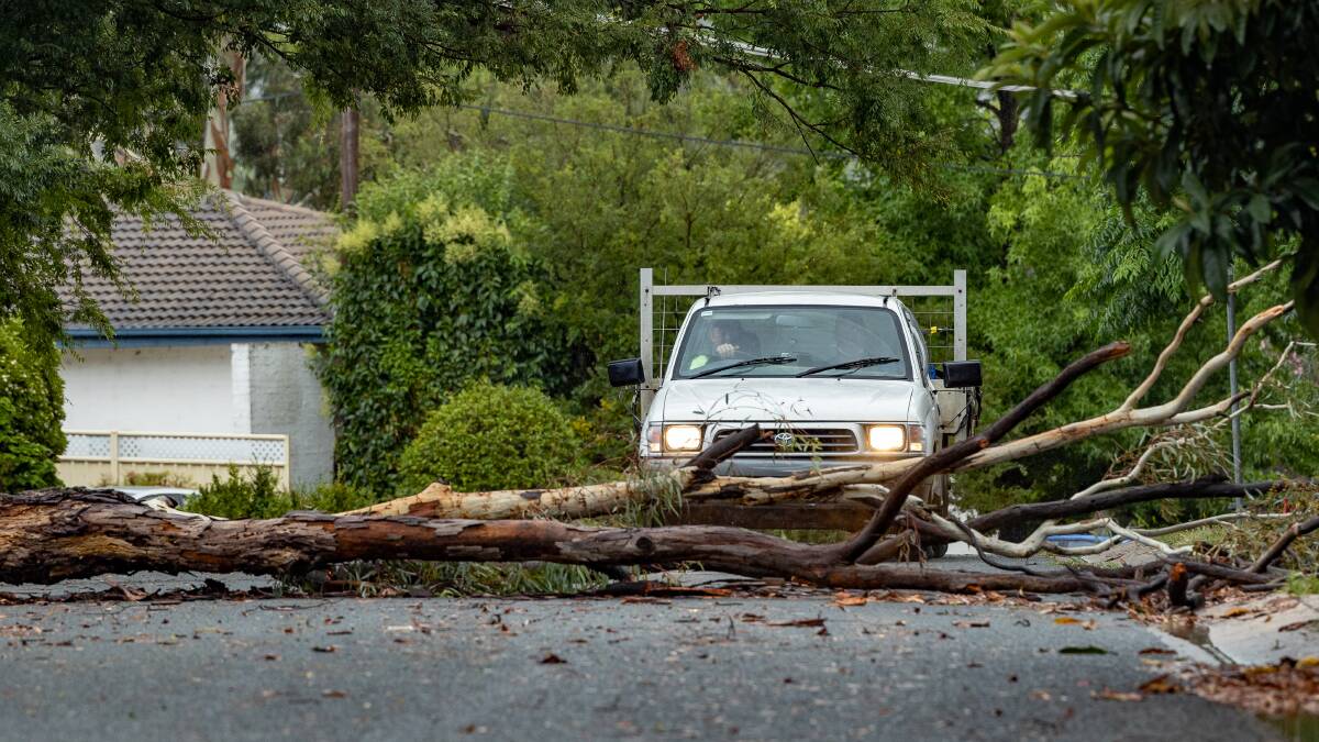 A fallen tree blocks Yiman Street in Waramanga after a storm moved through Canberra on Monday afternoon. Picture: Sitthixay Ditthavong
